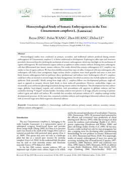 Histocytological Study of Somatic Embryogenesis in the Tree Cinnamomum Camphora L