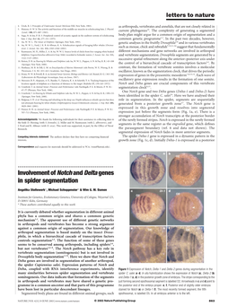 Involvement Ofnotchanddeltagenes in Spider Segmentation