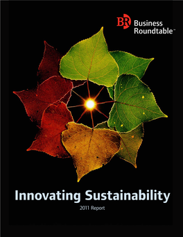 Innovating Sustainability 2011 Report