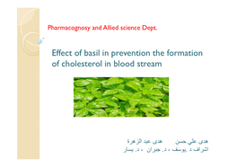 Effect of Basil in Prevention the Formation of Cholesterol in Blood Stream