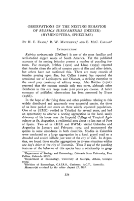 Observations of the Nesting Behavior of Rubrica Surinamensi8 (Degeer) (Hymenoptera, Sphecidae)