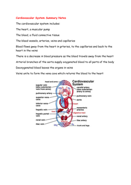 Cardiovascular System Summary Notes the Cardiovascular System