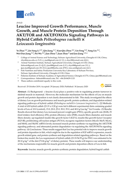 Leucine Improved Growth Performance, Muscle Growth, And