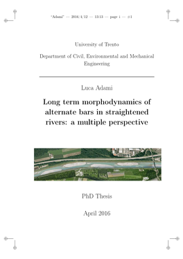 Long Term Morphodynamics of Alternate Bars in Straightened Rivers: a Multiple Perspective