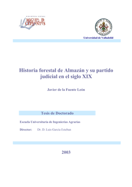 Pdf Historia Forestal De Almazán Y Su Partido Judicial En El Siglo XIX