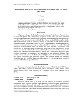 Morphological Study on Nine Species of the Family Poaceae from Some Area of East Bago Region