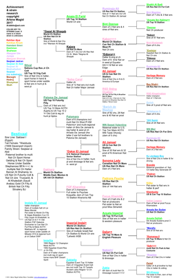 Bestivaal Pedigree Sample