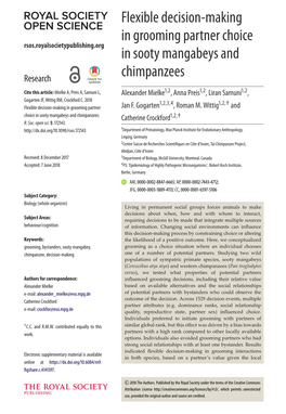 Flexible Decision-Making in Grooming Partner Choice in Sooty Mangabeys