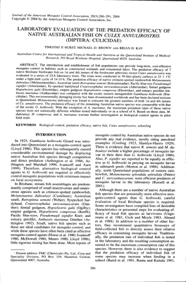 Laboratory Evaluation of the Predation Efficacy of Native Australian Fish on Culex Annulirostris (Diptera: Culicidae)