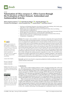 Valorisation of Olea Europaea L. Olive Leaves Through the Evaluation of Their Extracts: Antioxidant and Antimicrobial Activity