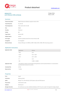 Anti-Histone H2B Antibody (ARG41373)