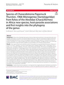 Species of Characidotrema Paperna & Thurston, 1968 (Monogenea