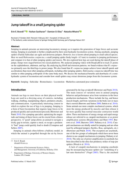 Jump Takeoff in a Small Jumping Spider