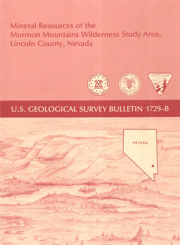 Mineral Resources of the Mormon Mountains Wilderness Study Area, Lincoln County, Nevada