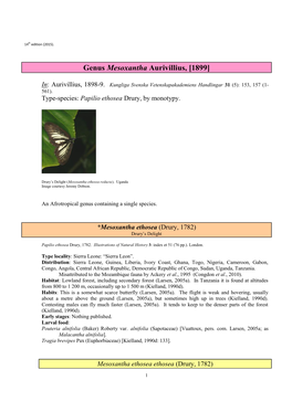 172 Genus Mesoxantha Aurivillius