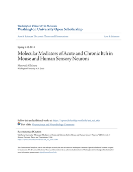 Molecular Mediators of Acute and Chronic Itch in Mouse and Human Sensory Neurons Manouela Valtcheva Washington University in St