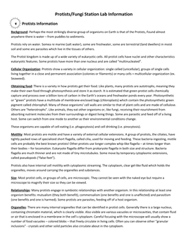 Protists/Fungi Station Lab Information