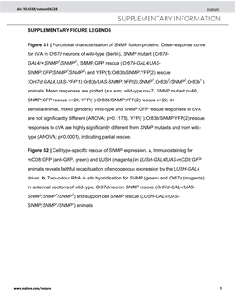 Supplementary Figure S1 Functional Characterisation of Snmp:GFP