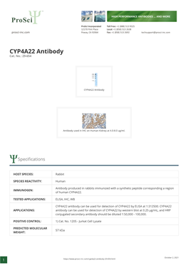 CYP4A22 Antibody Cat
