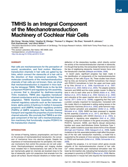 TMHS Is an Integral Component of the Mechanotransduction Machinery of Cochlear Hair Cells