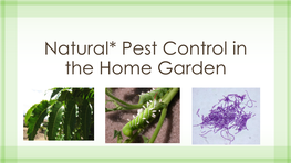 Natural* Pest Control in the Home Garden Why Go the Natural Route?