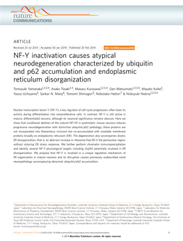 NF-Y Inactivation Causes Atypical Neurodegeneration Characterized by Ubiquitin and P62 Accumulation and Endoplasmic Reticulum Disorganization