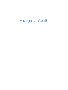 Visegrad Youth