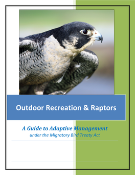 Outdoor Recreation & Raptors