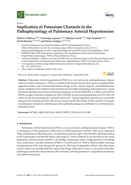 Implication of Potassium Channels in the Pathophysiology of Pulmonary Arterial Hypertension