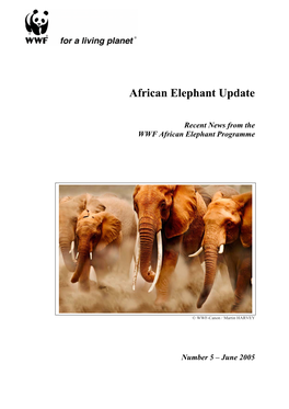 The African Elephant Under Threat
