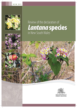 Review of the Declaration of Lantana Species in New South Wales Review of the Declaration of Lantana Species in New South Wales