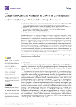 Cancer Stem Cells and Nucleolin As Drivers of Carcinogenesis