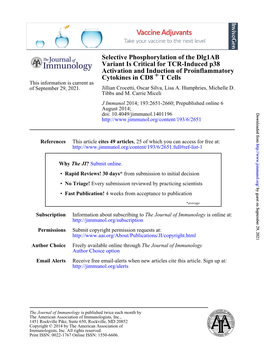 T Cells + Cytokines in CD8 Activation and Induction of Proinflammatory