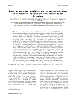 Effect of Weather Conditions on the Spring Migration of Eurasian Woodcock and Consequences for Breeding