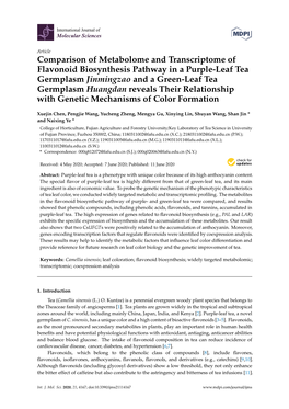 Comparison of Metabolome and Transcriptome of Flavonoid