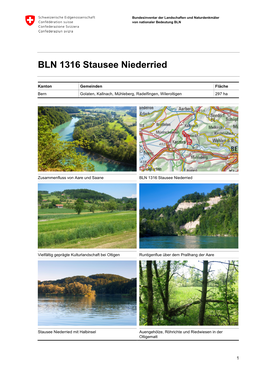 BLN 1316 Stausee Niederried