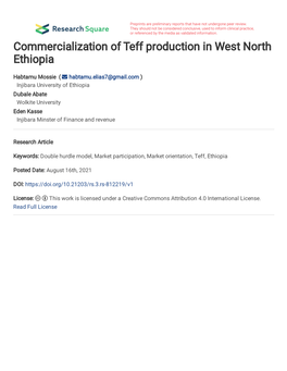 Commercialization of Teff Production in West North Ethiopia