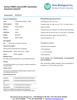 Human FKBP2 Natural ORF Mammalian Expression Plasmid