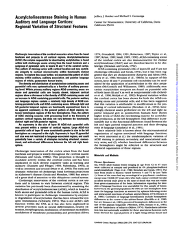 Acetylcholinesterase Staining in Human Auditory and Language