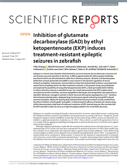 Inhibition of Glutamate Decarboxylase (GAD) by Ethyl Ketopentenoate (EKP)