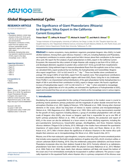 (Rhizaria) to Biogenic Silica Export in the California Current Ecosystem