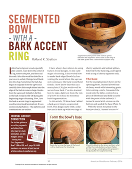 Segmented Bowl Bark Accent