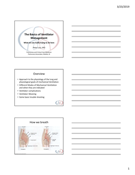 The Basics of Ventilator Management Overview How We Breath