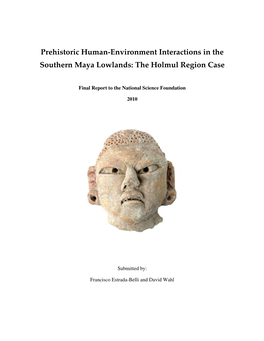 Prehistoric Human-Environment Interactions in the Southern Maya Lowlands: the Holmul Region Case