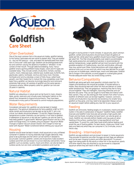Goldfish Care Sheet