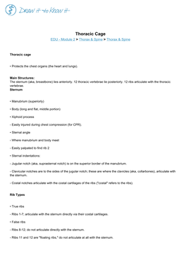 Thoracic Cage EDU - Module 2 > Thorax & Spine > Thorax & Spine