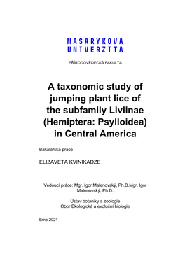 A Taxonomic Study of Jumping Plant Lice of the Subfamily Liviinae (Hemiptera: Psylloidea) in Central America