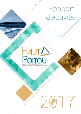 Rapport D'activité