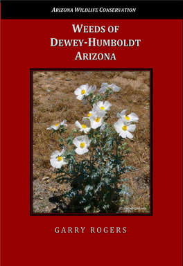 Weeds of Dewey-Humboldt Arizona
