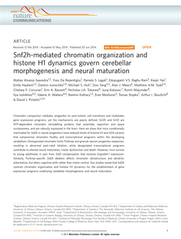 Snf2h-Mediated Chromatin Organization and Histone H1 Dynamics Govern Cerebellar Morphogenesis and Neural Maturation